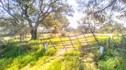 Finca Rustica cerca Villablanca