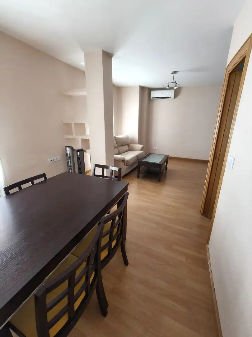 Sala de estar de Piso de alquiler en Valencia con Amueblado