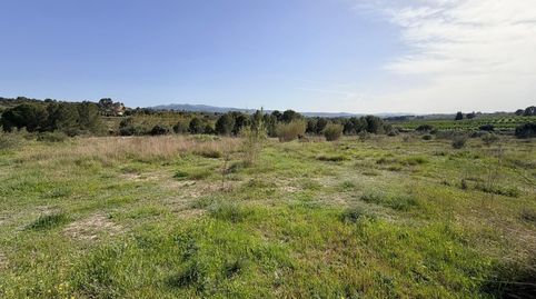 Venta parcela rustica en MontavernerValencia, imatge 2