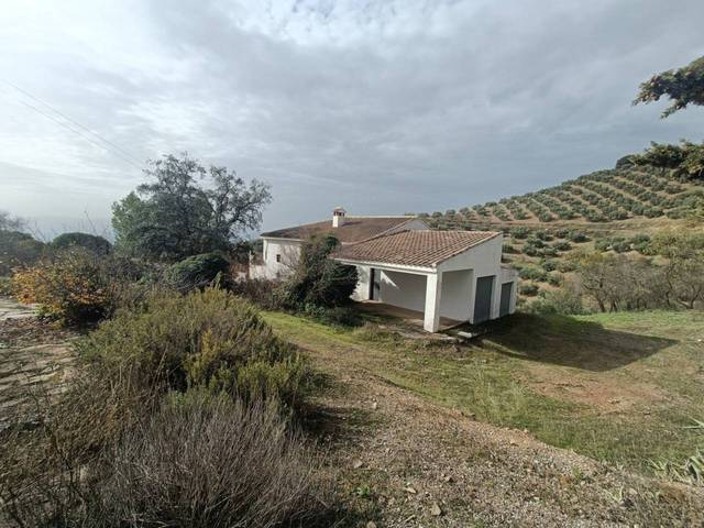 Terreno en Venta en Polígono 49, 16 en Montefrío