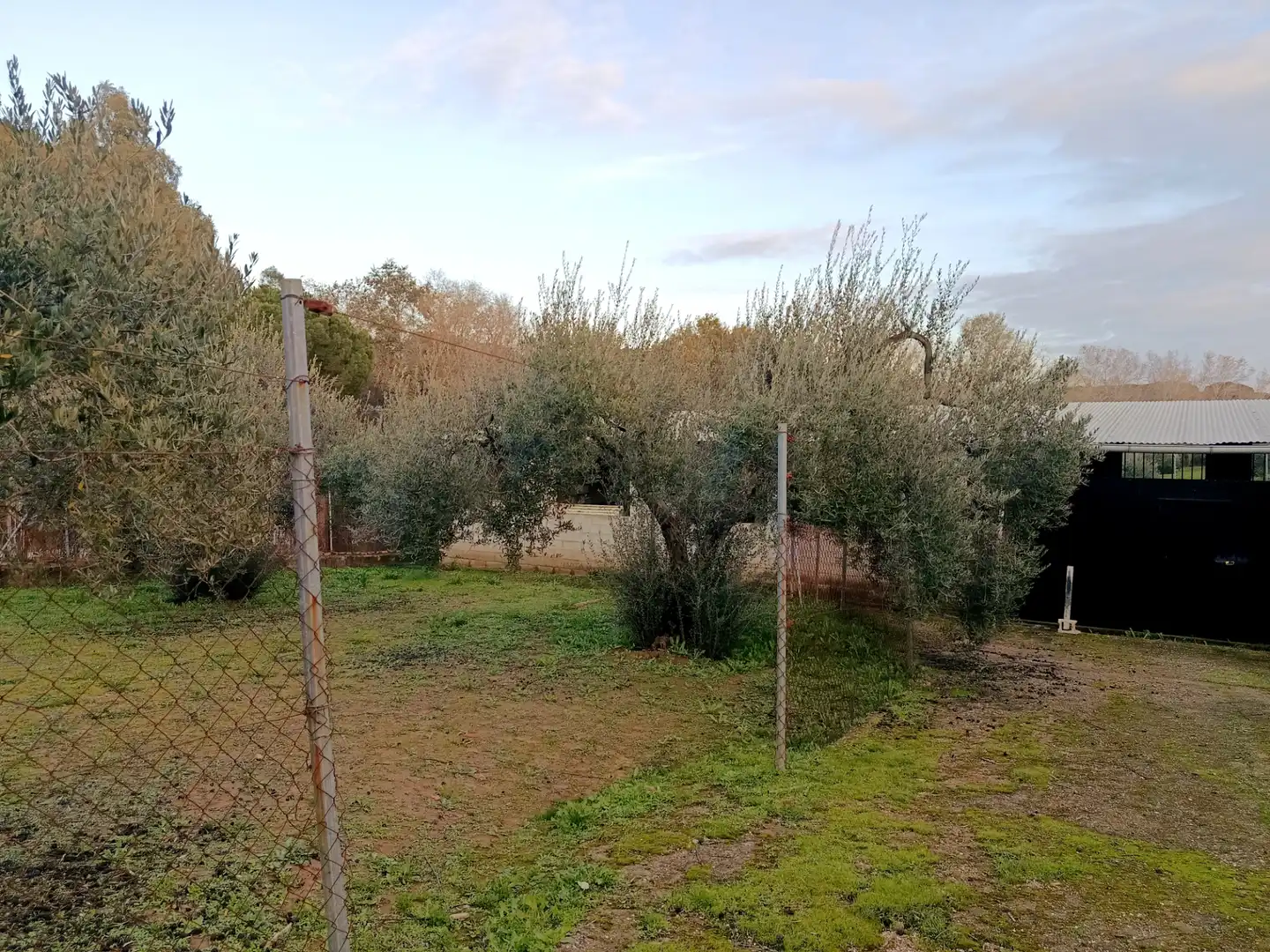Country house zum Verkauf in Hinojos mit Privatgarten, Terrasse und Schwimmbad