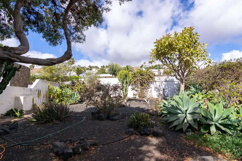 Jardín de Casa o chalet en venta en Teguise con Jardín privado y Amueblado