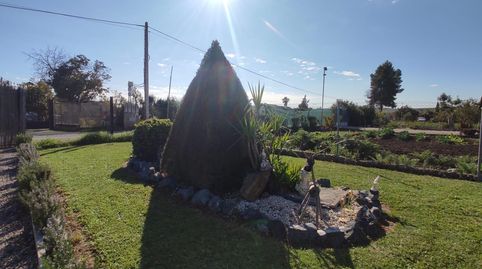 Foto 3 de Finca rústica en venta en El Carpio, Córdoba