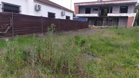 Solar urbano en Coria del Rio, imatge 3