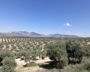 Residential for sale in Pinos Puente