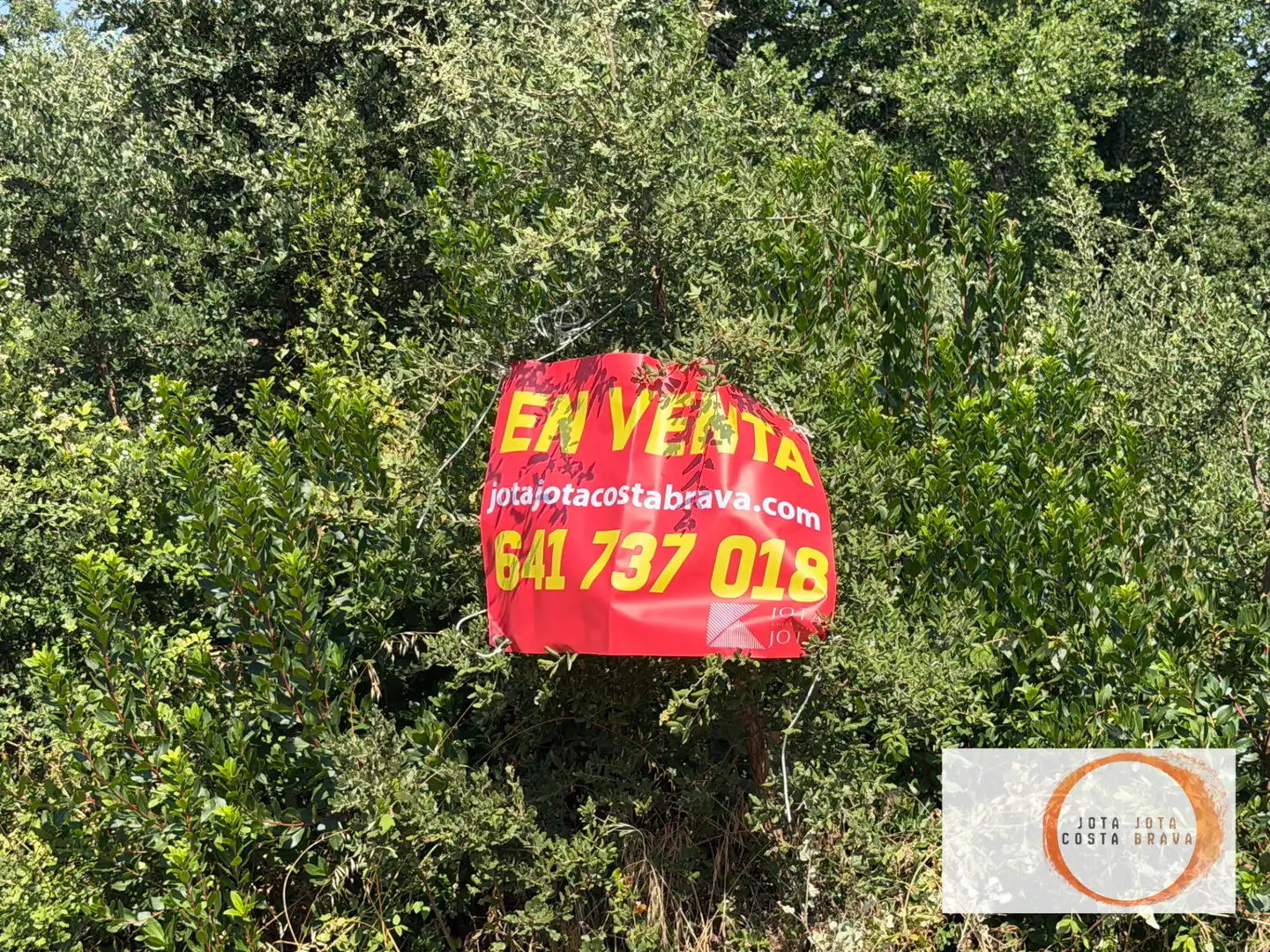 Terreno residencial en venta en Carrer Bosc 176, imagen 4