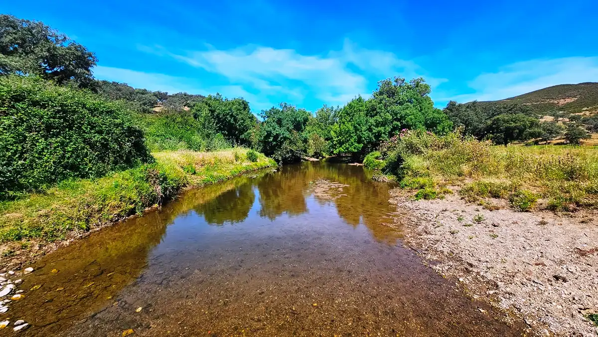 Terrenos y solares en venta en Aracena, imagen 22