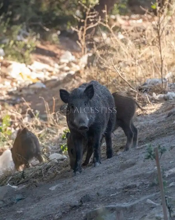 Terreni e lotti in vendita a Méntrida, imagen 15