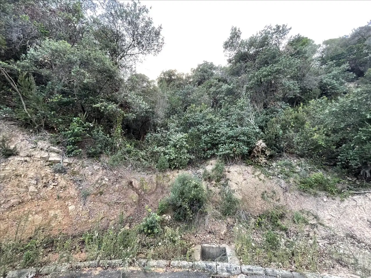 Terreny residencial en venda a ROSAMAR, imagen 9