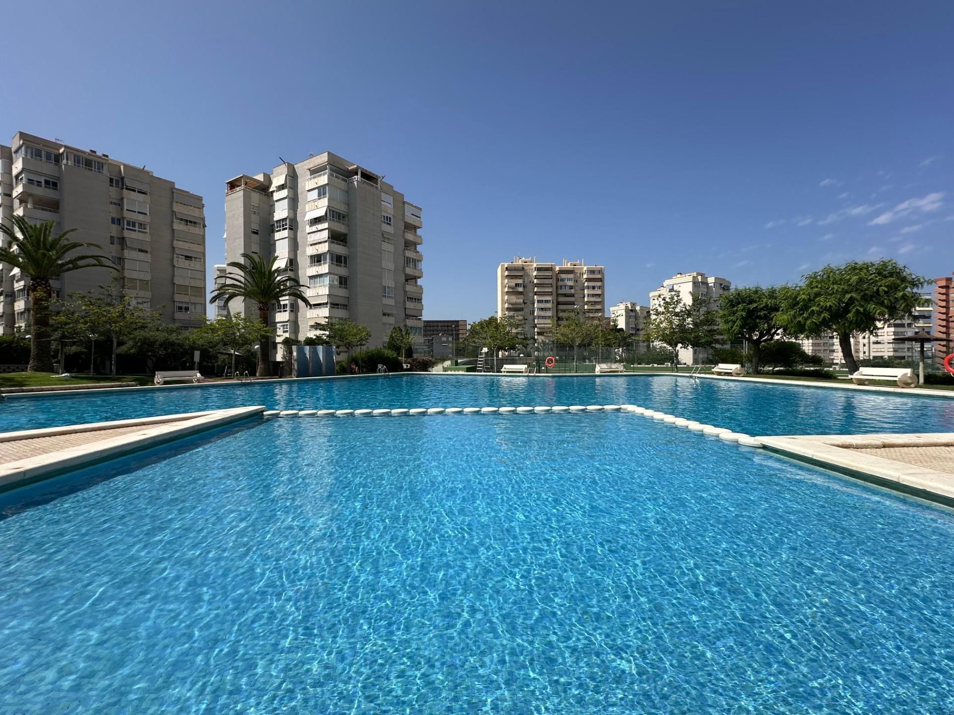 Swimming pool of Apartment to rent in Alicante / Alacant  with Private garden, Terrace and Community pool