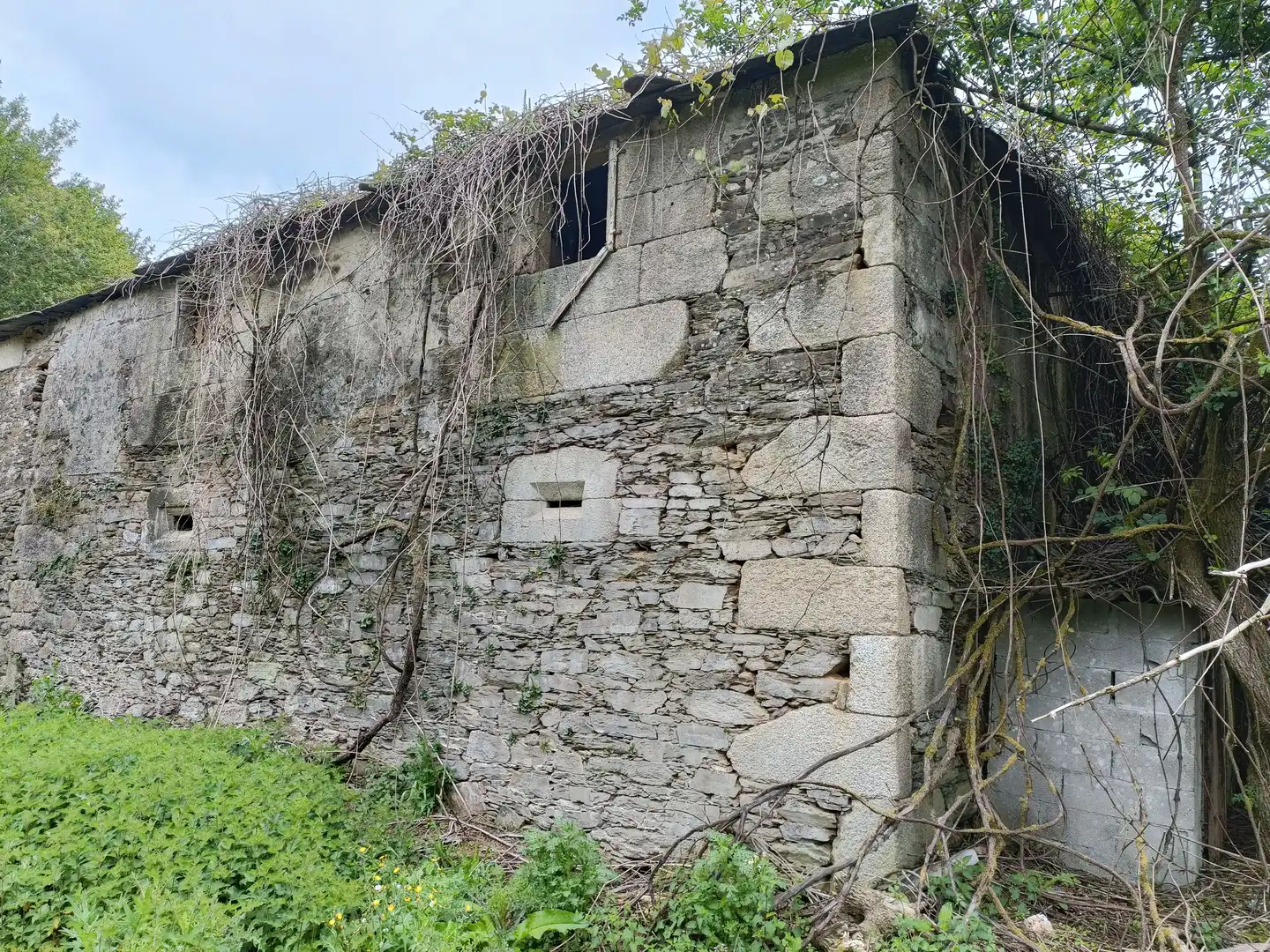 Vista exterior de Casa o xalet en venda en Aranga amb Jardí privat i Traster