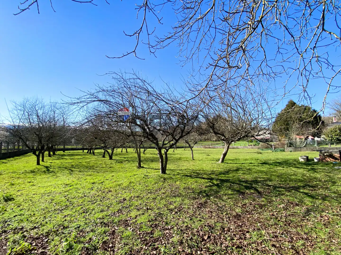 Terreni e lotti in vendita a Rúa Porto do Alle, imagen 13