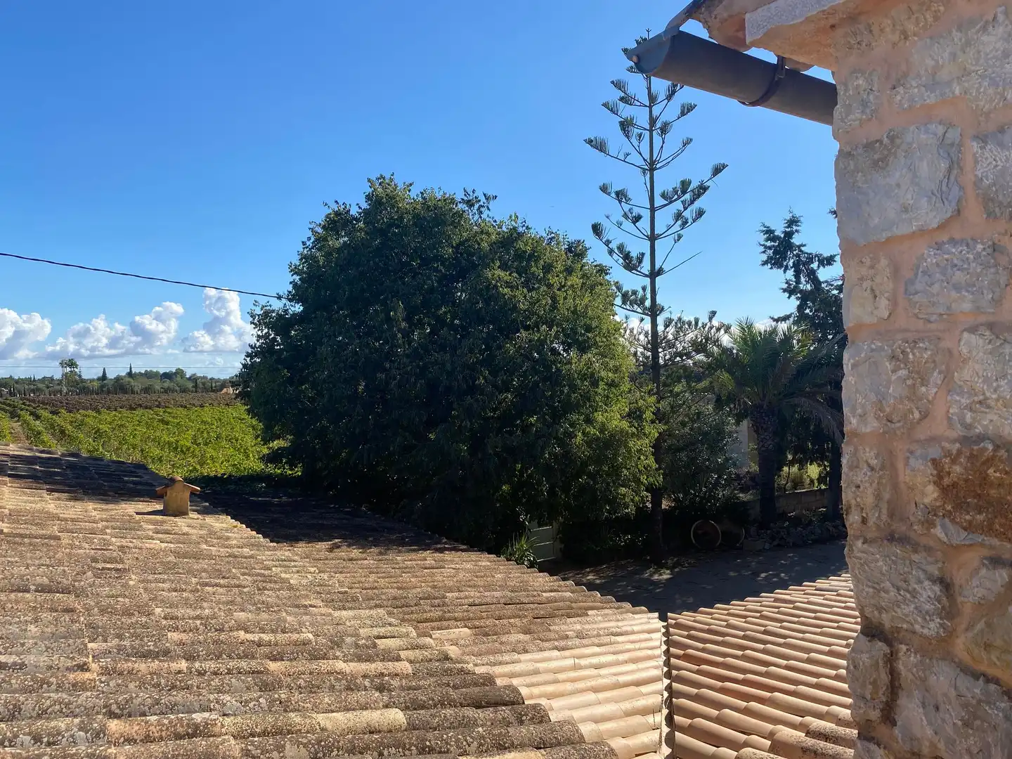Jardín de Casa o chalet de alquiler en Santa María del Camí con Terraza y Balcón