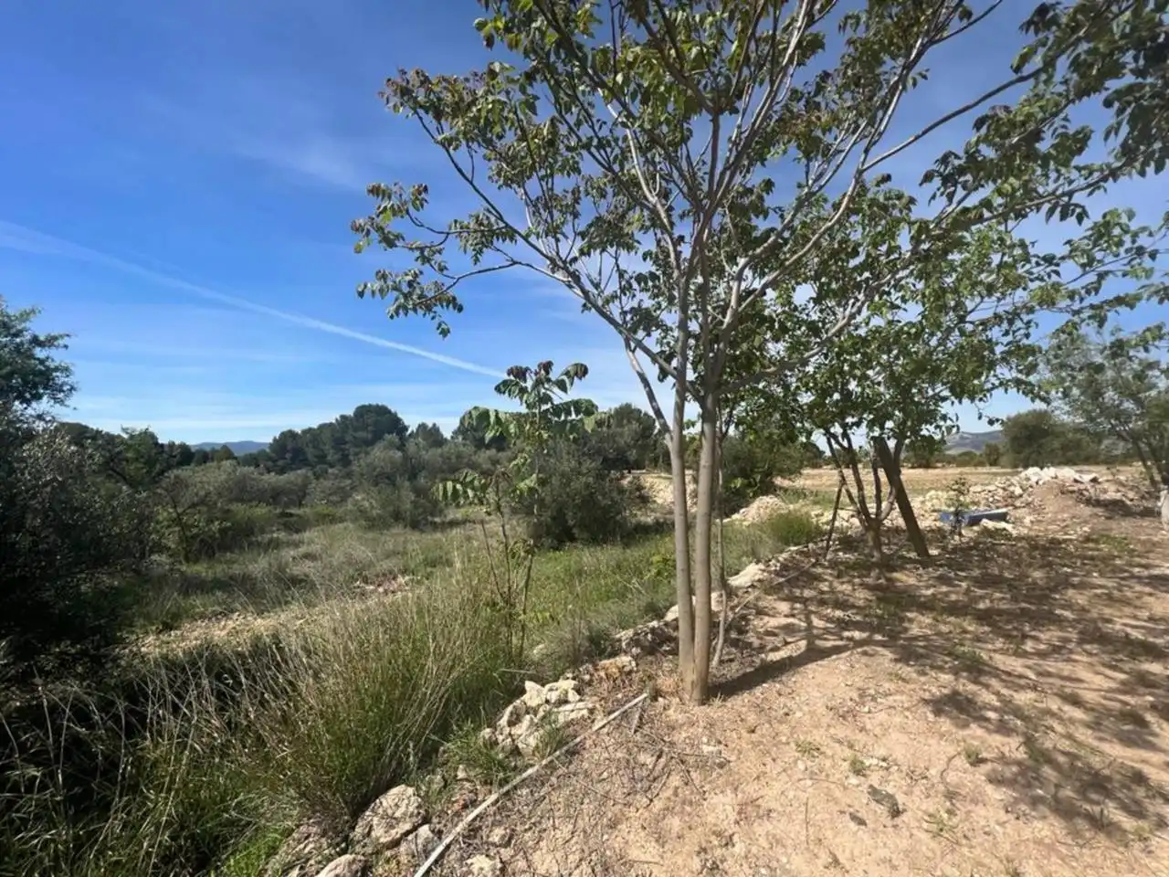 Chalet con jardín en venta en Calle Poligono, imagen 167