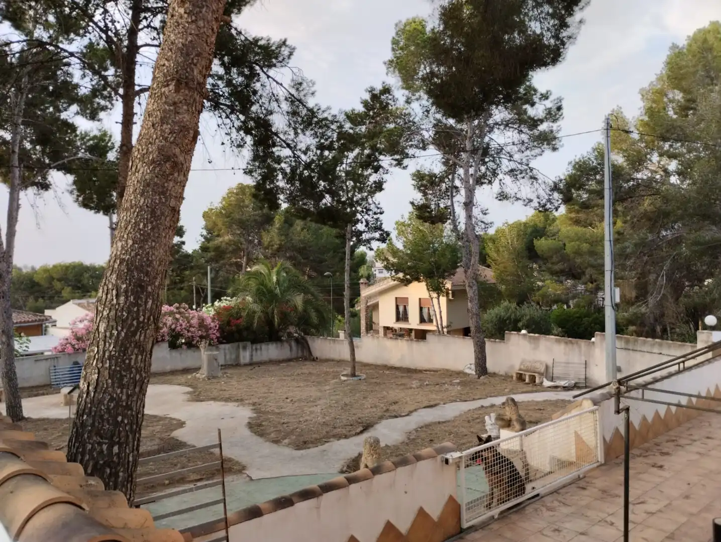 Xalet amb jardí en venda a El Pinar de Campoverde, imagen 15