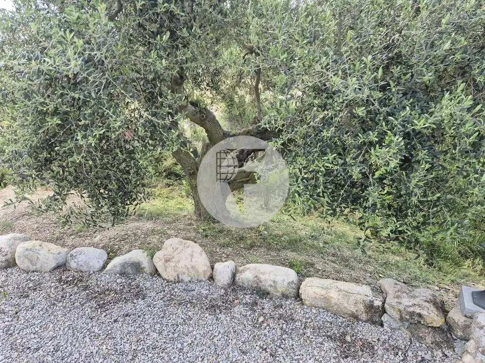 Casa rústica en venda a Sant Martí Sarroca, imagen 56