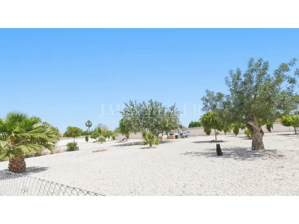 Maison avec jardin à vendre à Dolores, imagen 104