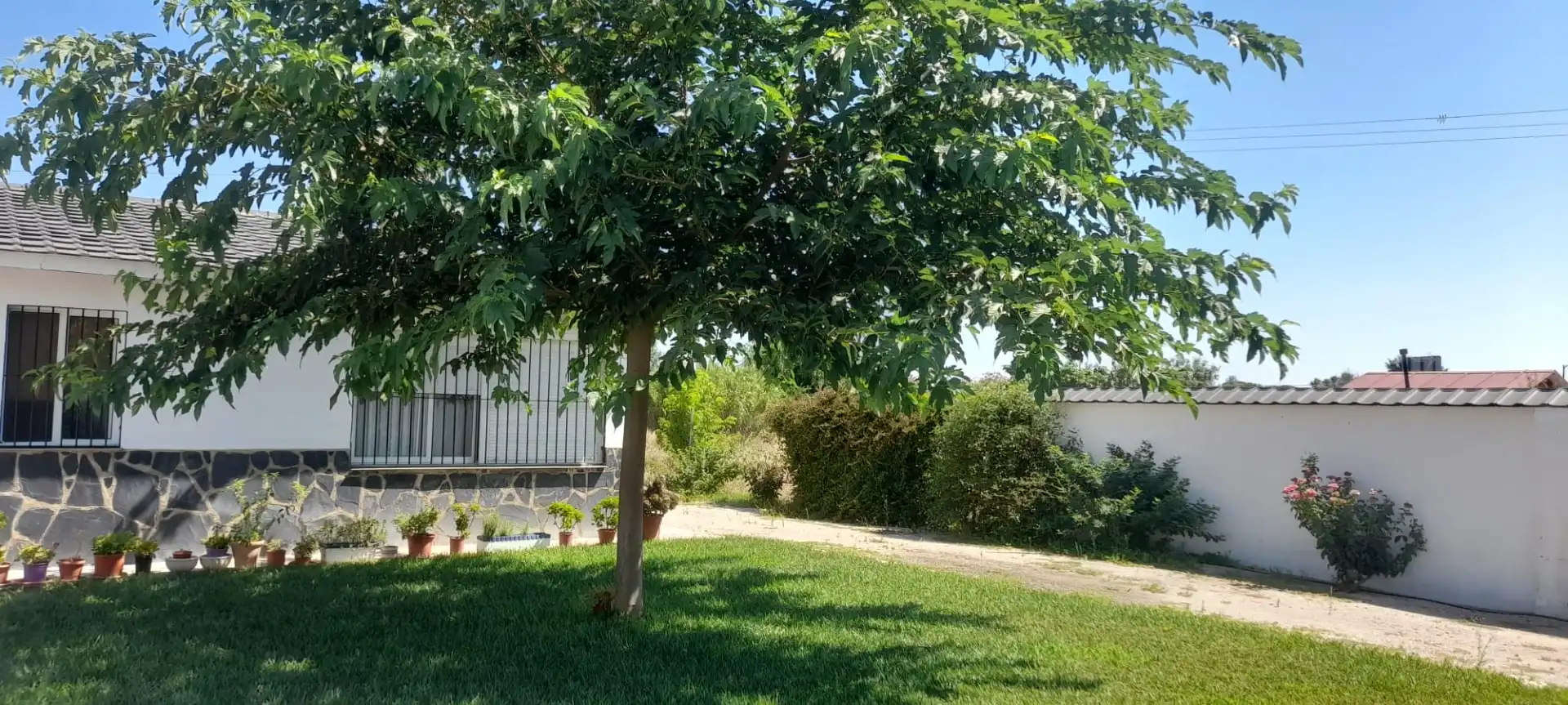 Chalet con piscina en venta en Don Benito, imagen 3