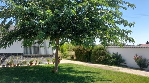 Foto 3 de Casa o chalet en venta en Don Benito, Badajoz