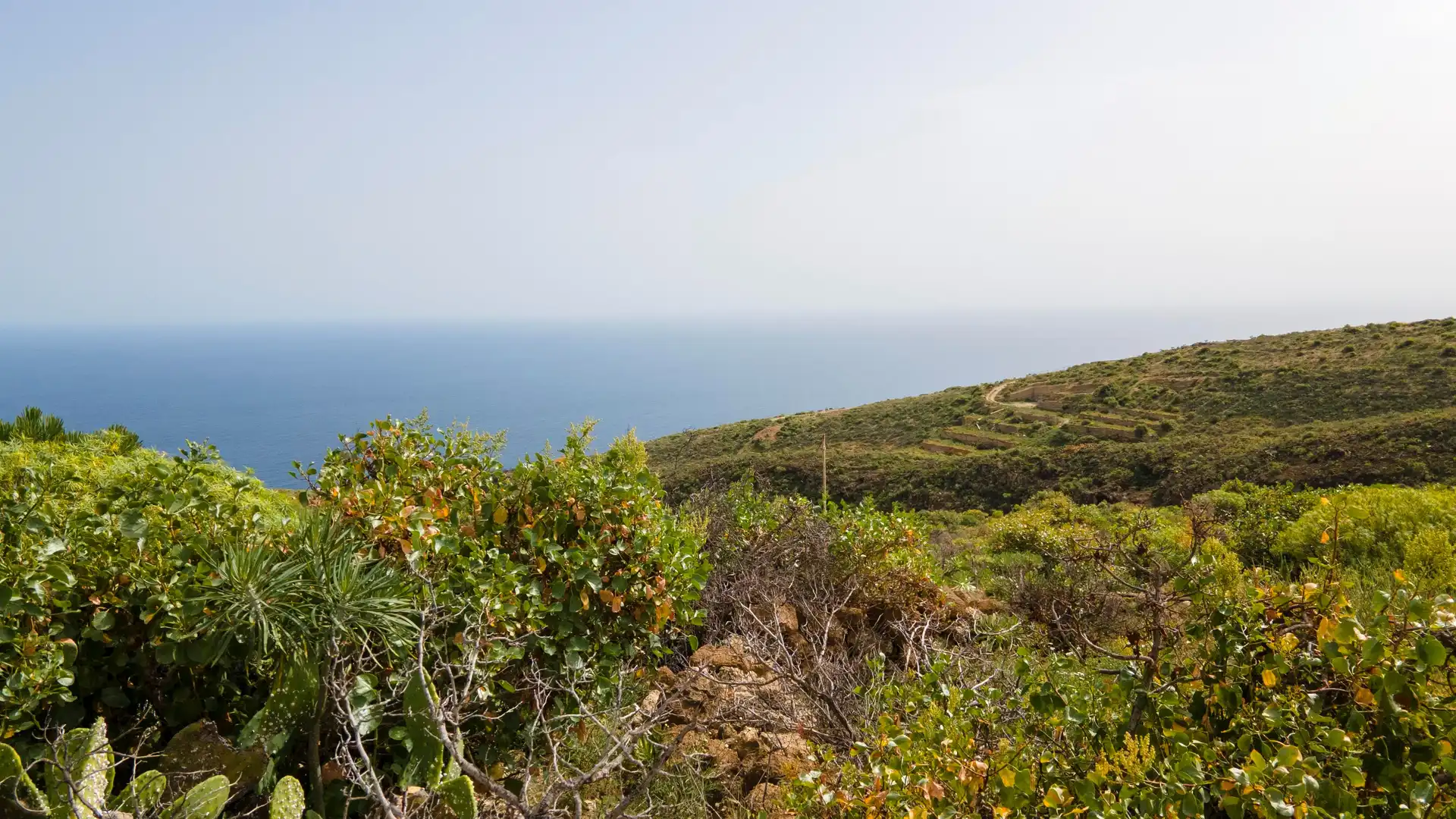 Residential for sale in Güímar