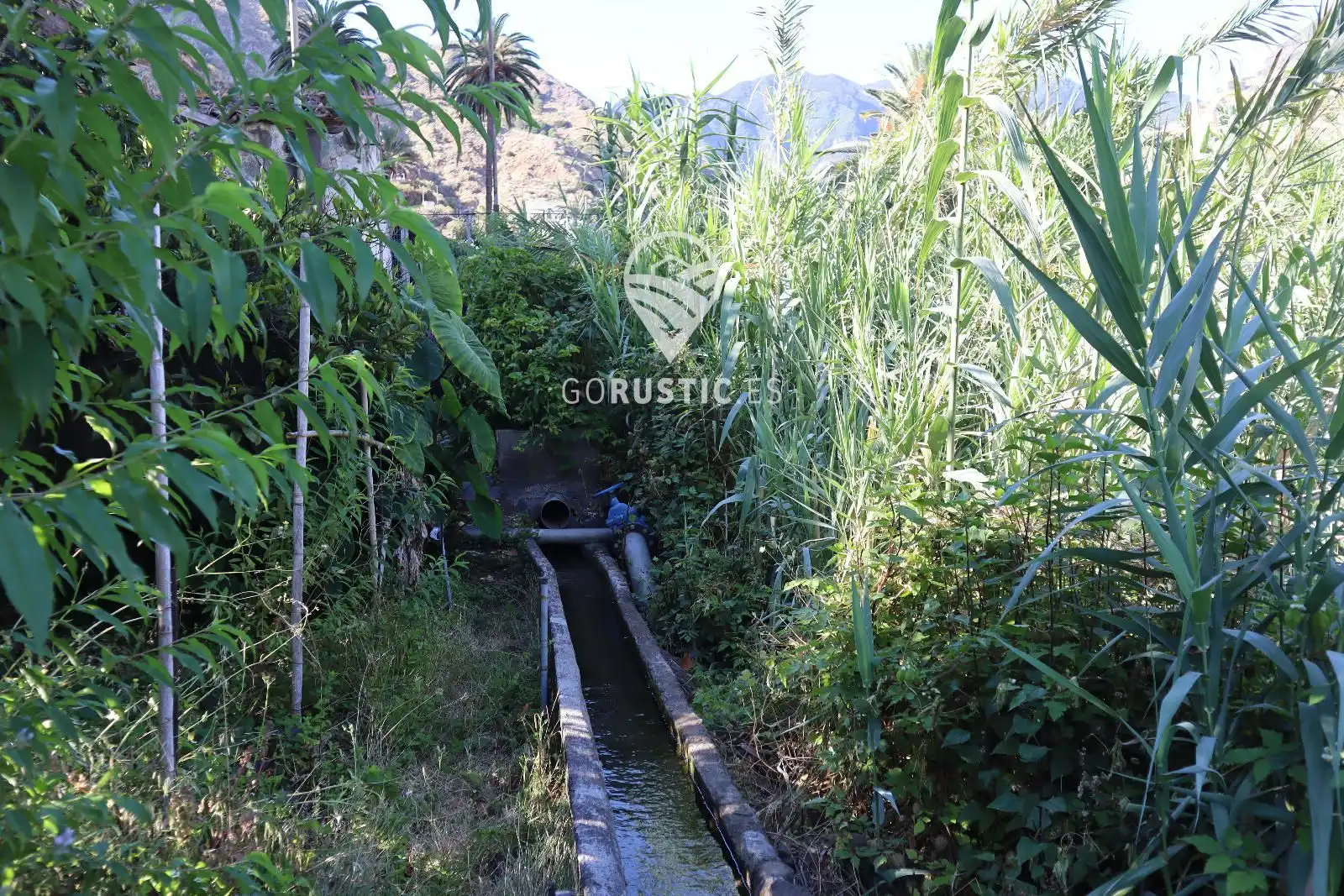 Terreno residencial en venta en Calle la Cerca, Hermigua, imagen 2