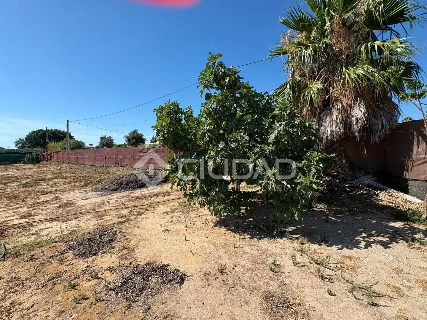Terreno en venta en Sanlúcar de Barrameda