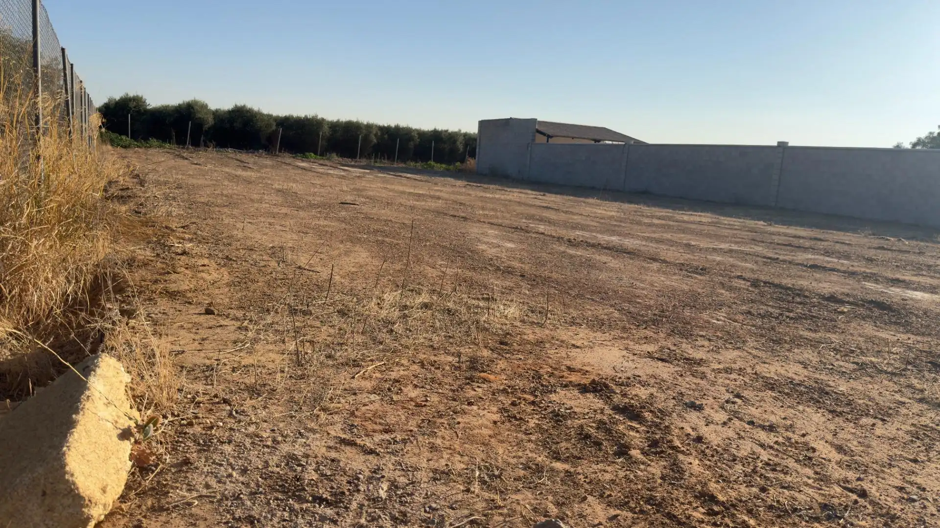 Terreno rústico en venta en Los Palacios y Villafranca, imagen 2