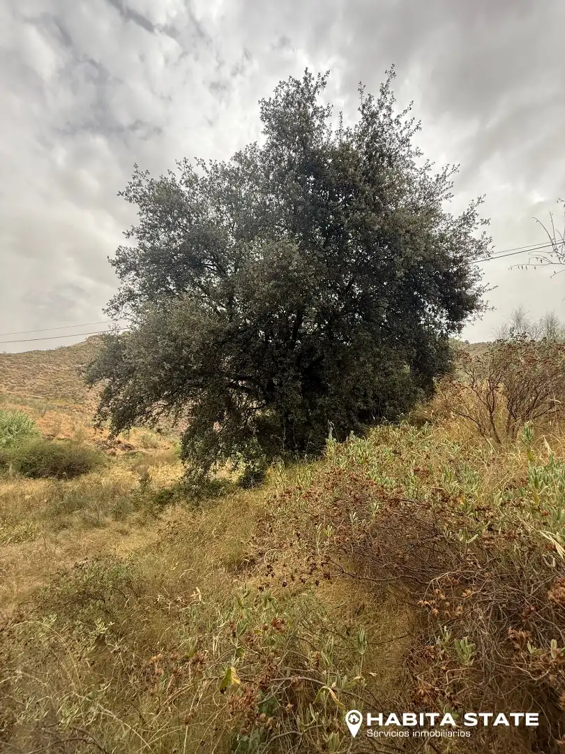 Land for sale in Chercos