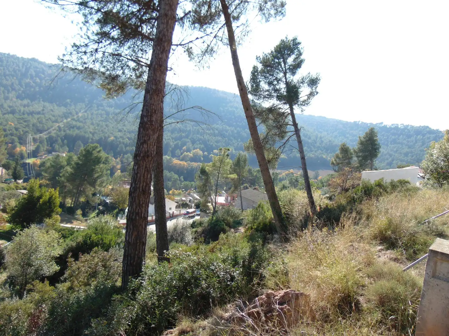 Terreny residencial en venda a de la Verge de Montserrat, imagen 5