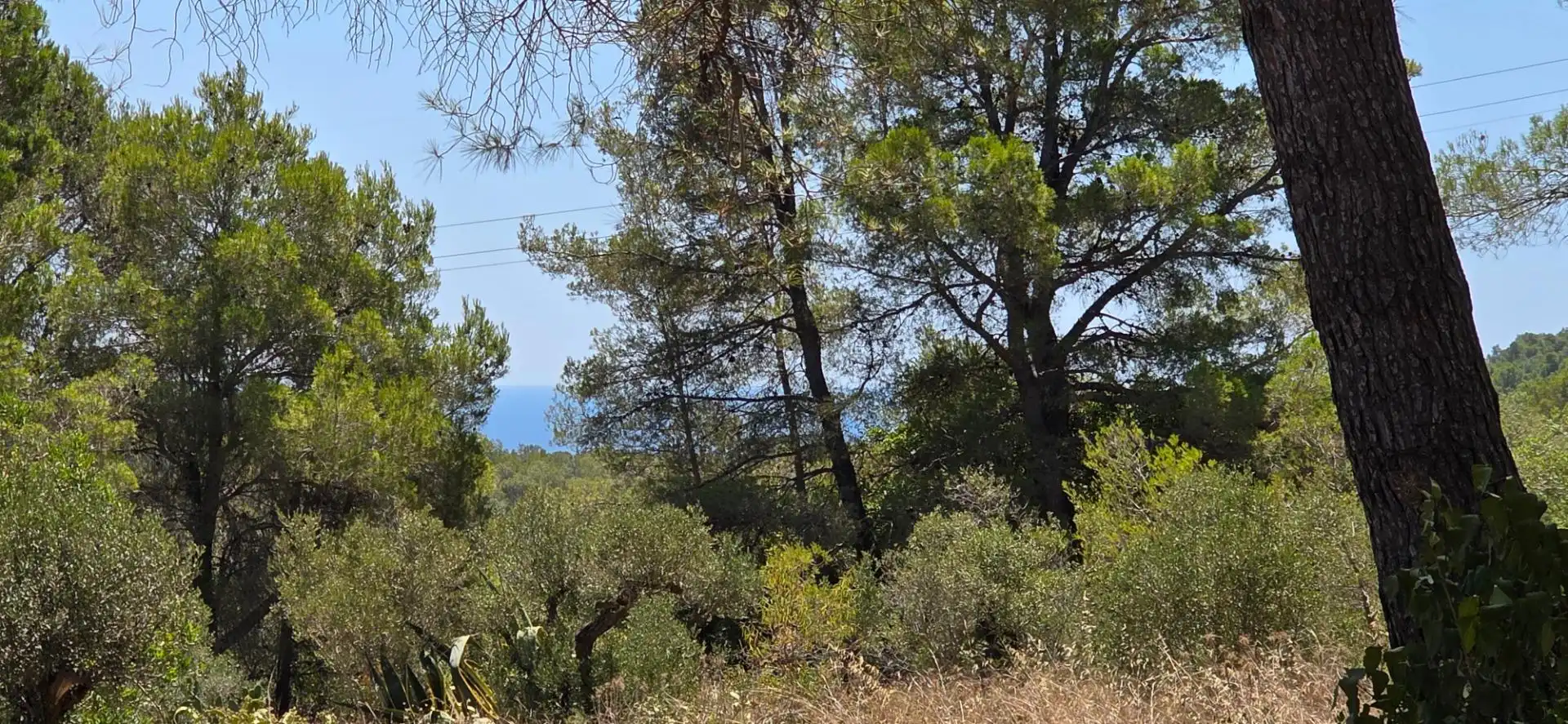 Casa rústica en venta en Vilanova d'Escornalbou, imagen 19