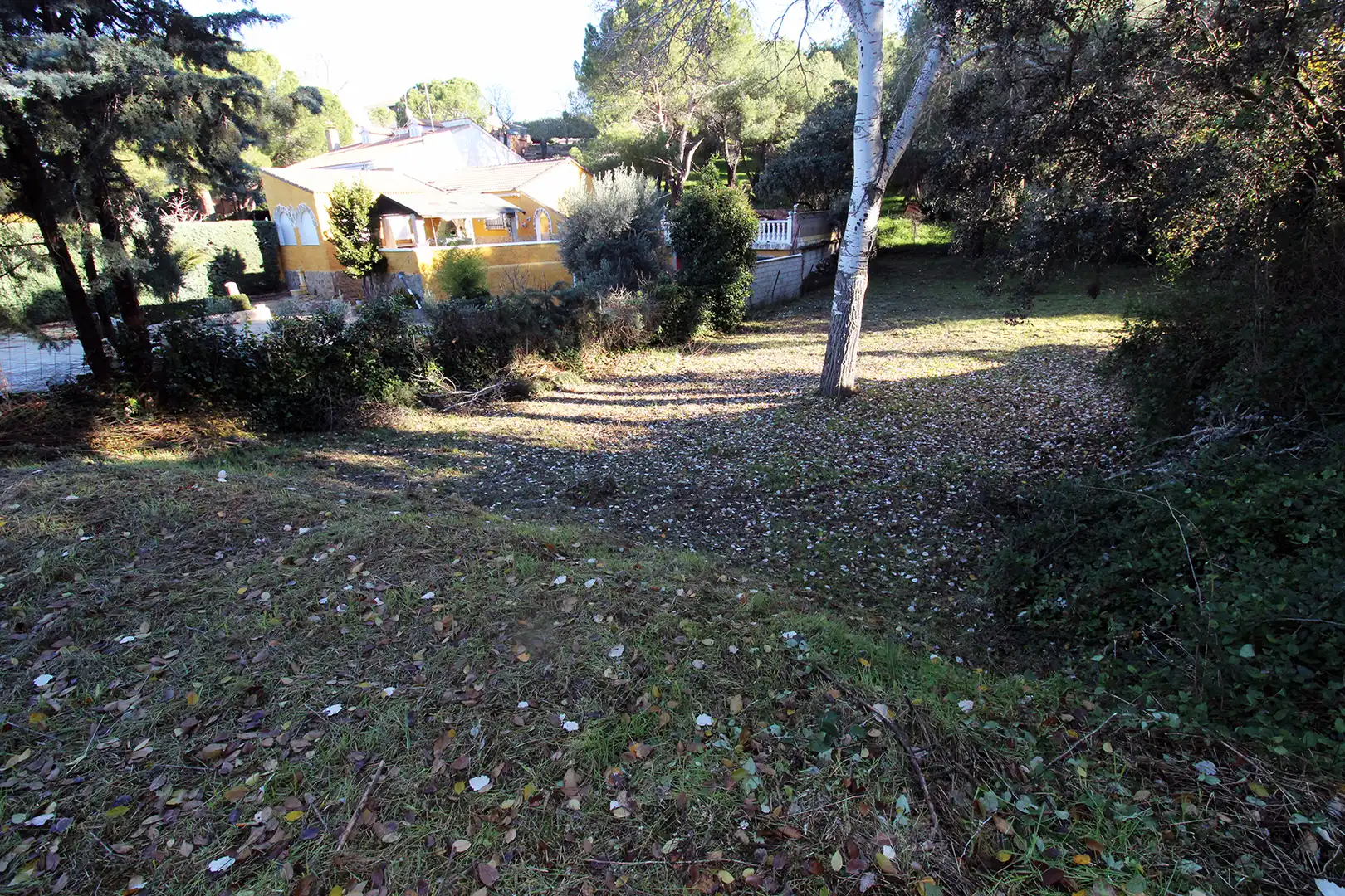 Terrain résidentiel à vendre à Calle Urbanización Peñarrubia, imagen 10