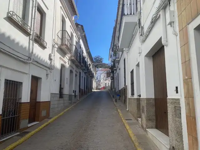 House with terrace for sale in Calle Manuel León