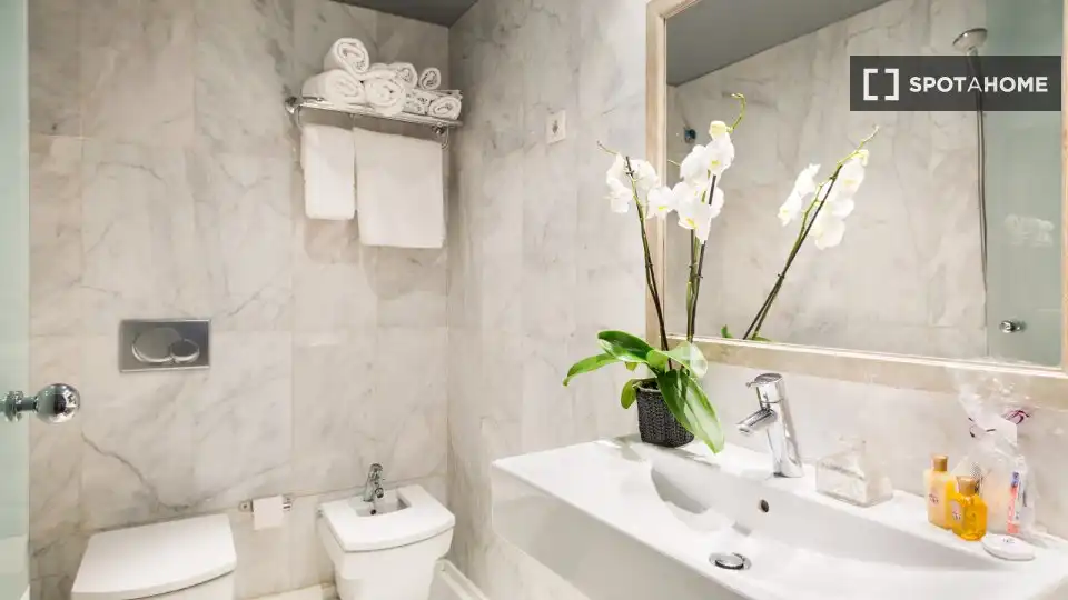 Bany de Apartament per a compartir en Barcelona amb Aire condicionat, Terrassa i Moblat