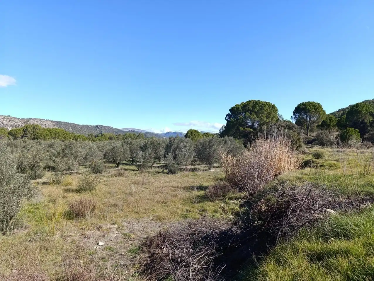 Country house for sale in Batoi, imagen 28
