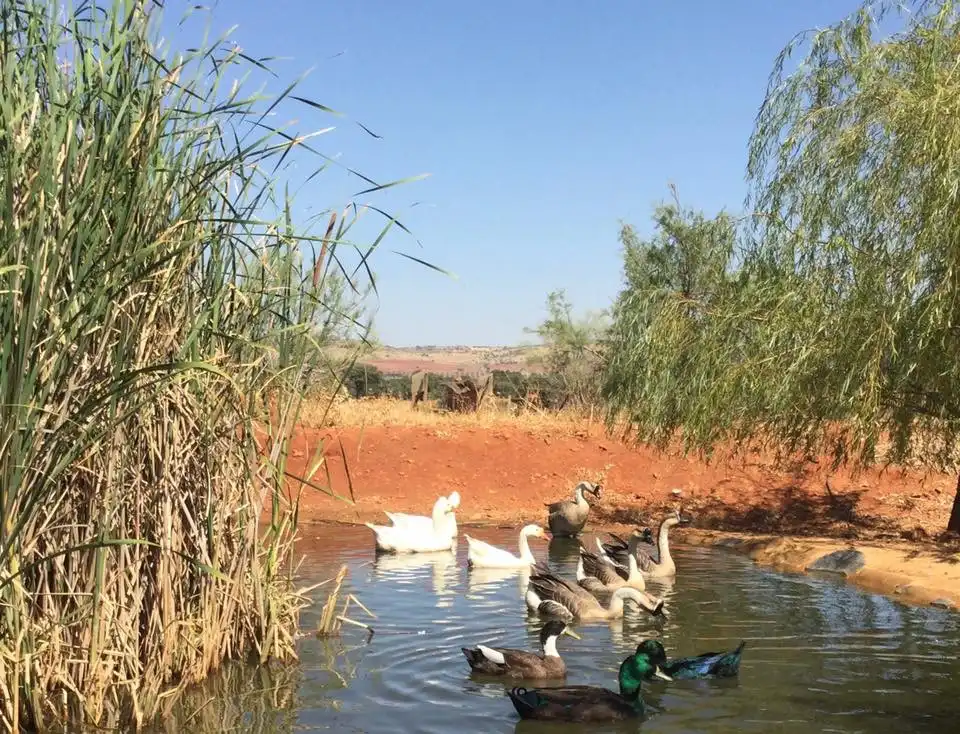Vista exterior de Finca rústica en venta en Torrenueva con Aire acondicionado, Calefacción y Jardín privado