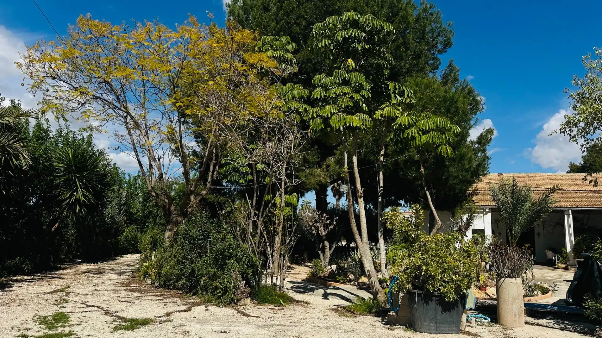 Jardí de Casa o xalet en venda en Elche / Elx amb Jardí privat, Traster i Piscina