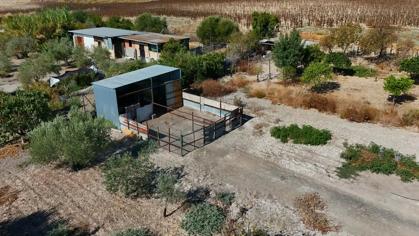 Maison rustique à vendre à Las Cabezas de San Juan, imagen 3