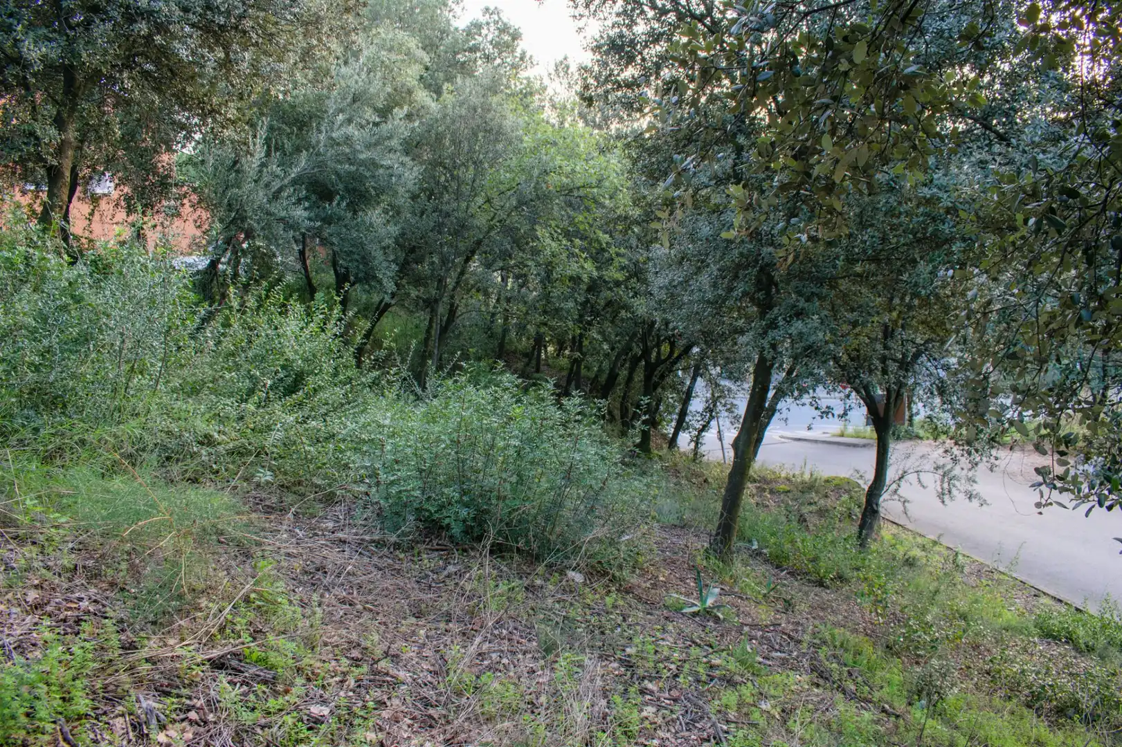 Lands and plots for sale in Bigues i Riells del Fai, imagen 13