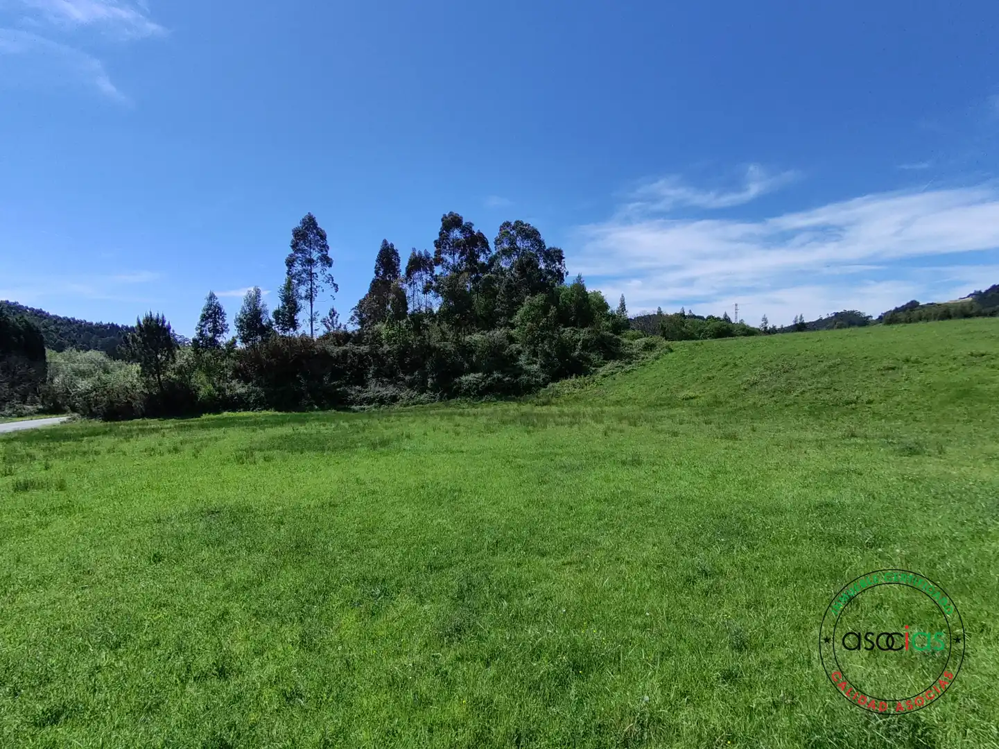 Terreno rustico in vendita a Gijón - CR DE GALLINAL 203, imagen 18