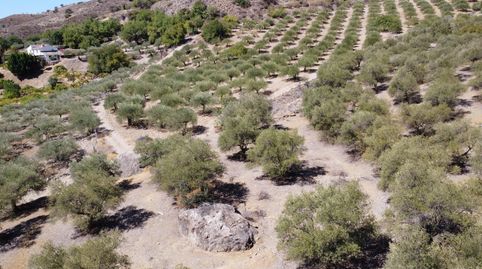 Foto 3 de Terreny en venda a Álora, Málaga