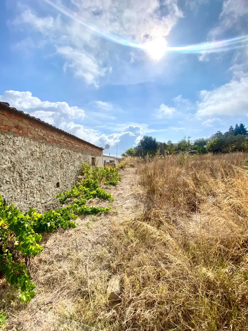Haus zum Verkauf in Carretera de Betis, imagen 18