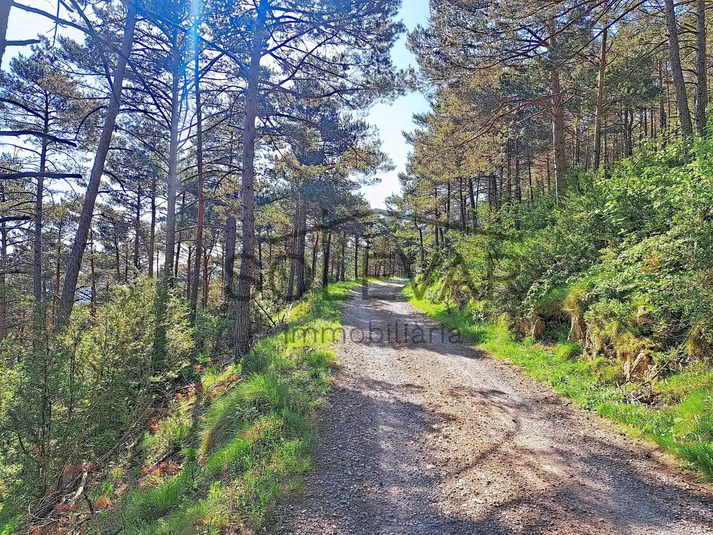 Casa o chalet en venta en Abella de la Conca