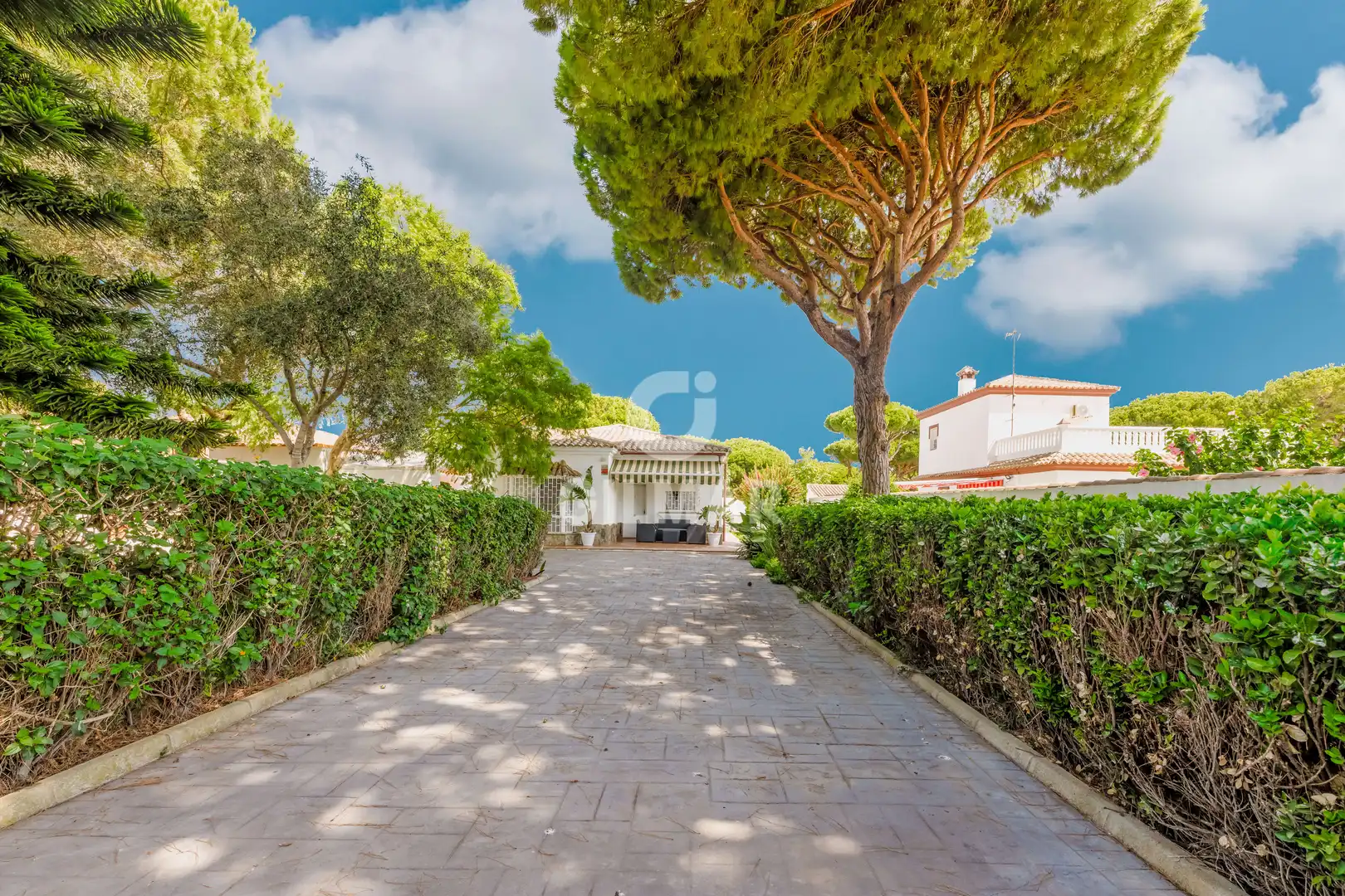 Exterior view of Houses for sale in Chiclana de la Frontera  with Private garden and Swimming Pool