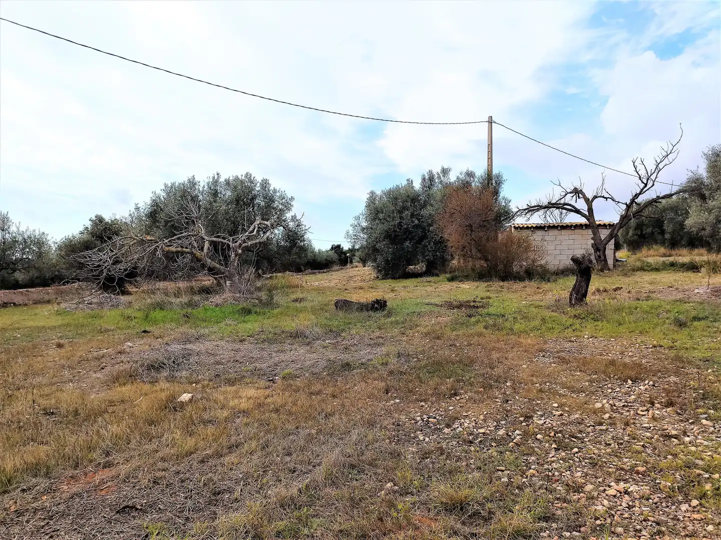 Terrain rustique à vendre à Alcanar, imagen 2