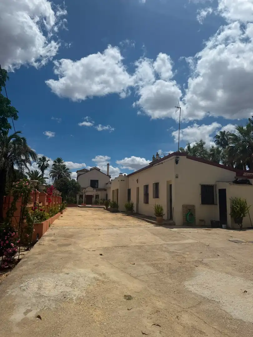 Chalet con piscina en venta en Carretera Olivares, imagen 62