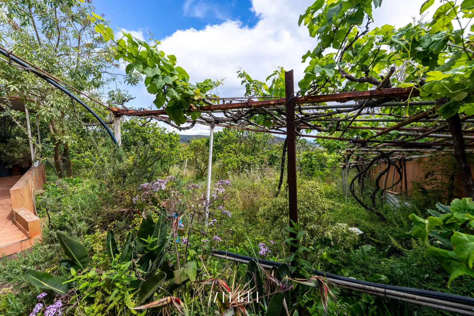 Jardí de Casa o xalet en venda en Santa Brígida amb Jardí privat, Terrassa i Balcó
