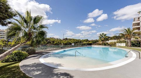 Foto 2 de Planta baja en venta en Villamartín - Las Filipinas, Orihuela