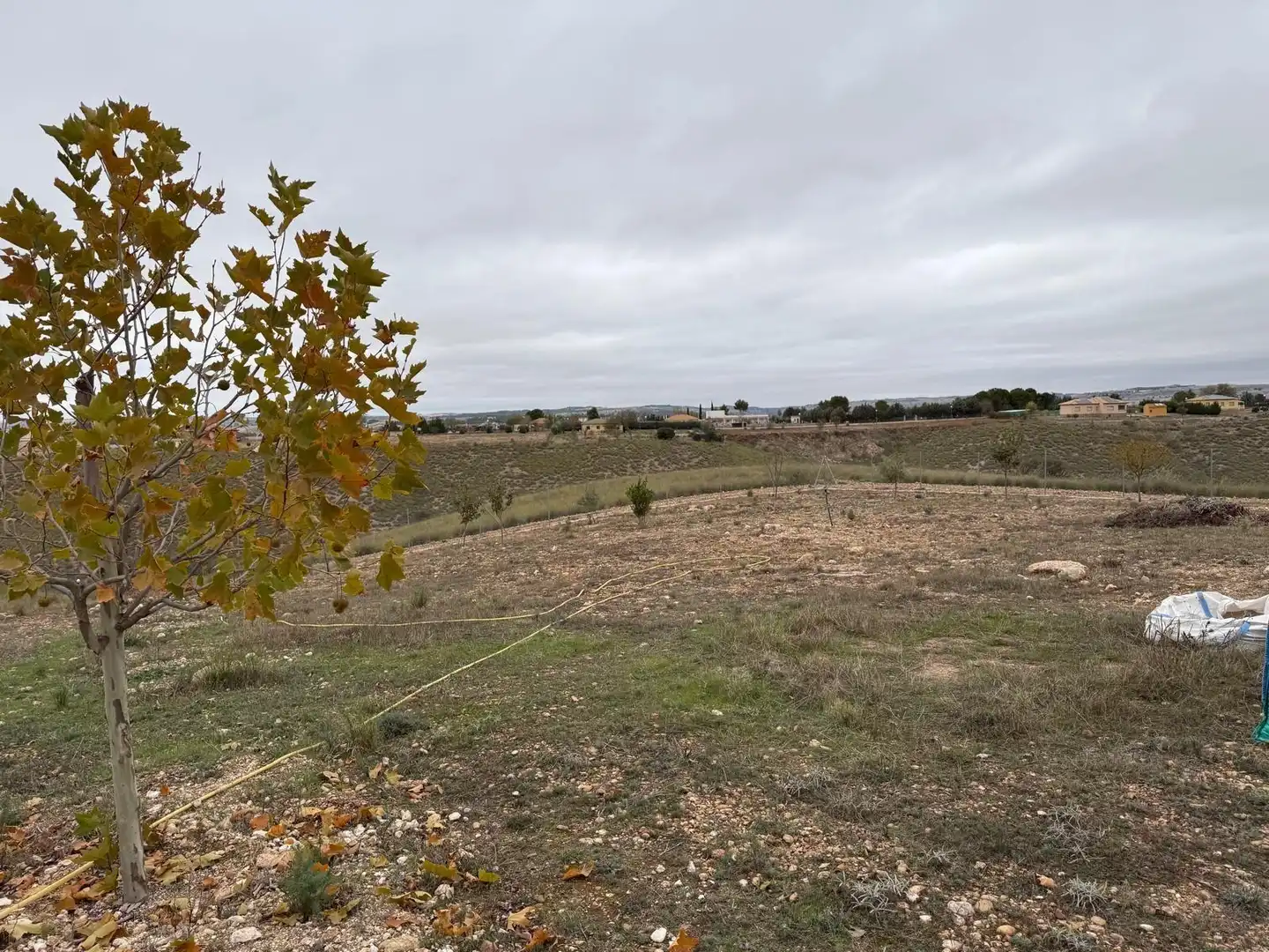 Terreny residencial en venda a Illana, imagen 12