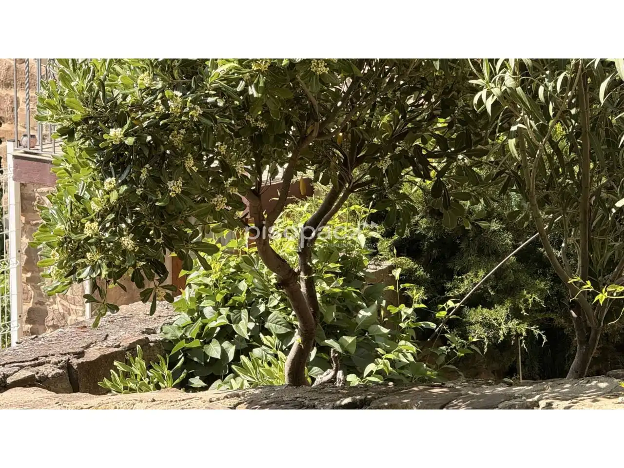 Jardí de Casa o xalet en venda en Undués de Lerda amb Calefacció, Jardí privat i Parquet