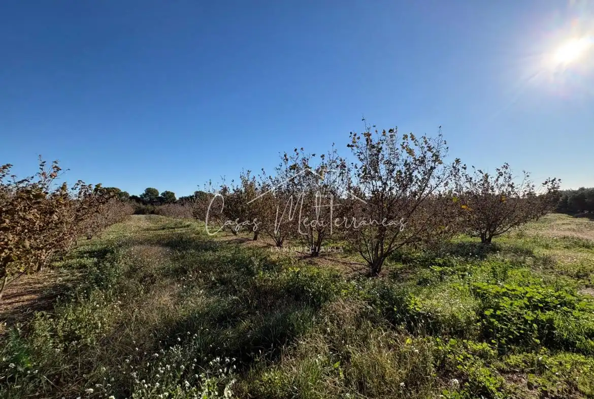 Country house for sale in Vinyols i els Arcs, imagen 8